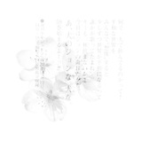 Telegram profile photo for 幻影?