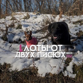 Telegram profile photo for ᴧᴏᴛы ᴏᴛ дʙух ᴨиᴄюх