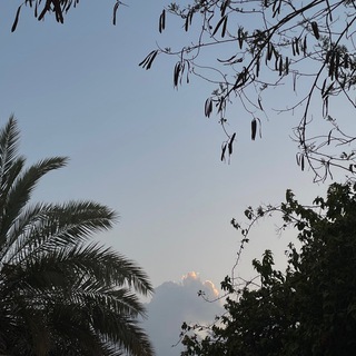 Telegram profile photo for فَيْض
