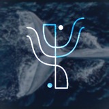 Telegram profile photo for Психология и Поле