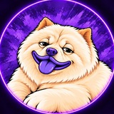 Telegram profile photo for $DUCHI PORTAL