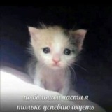 Telegram profile photo for Анж много Щитпостит