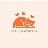 Telegram profile photo for Котик🐈 в отпуске | Домашняя передержка