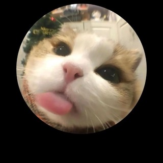 Telegram profile photo for Amiraniyaz