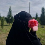 Telegram profile photo for يوميات بابية 🌷🌝