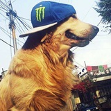 Telegram profile photo for ||РЕСТ||meme animations daily + cf || НАБОР АДМИНОВ !!