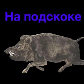 Telegram profile photo for На подскоке