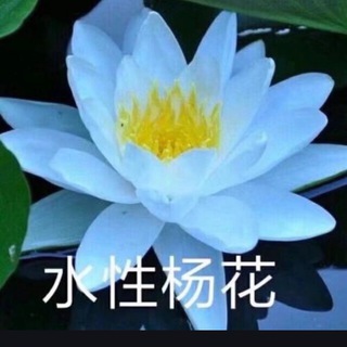 Telegram profile photo for 百合妹妹的秘密基地