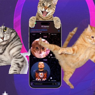 Telegram profile photo for Складчина Мемов