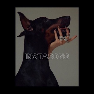 Telegram profile photo for INSTASONG
