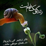 Telegram profile photo for کافه روانشناسی (مهرداد هنرمند روانشناس بالینی)