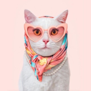 Telegram profile photo for Леди в тренде