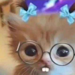 Telegram profile photo for Фурриебкино гнездо