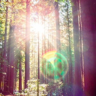 Telegram profile photo for A sunbeam☀︎