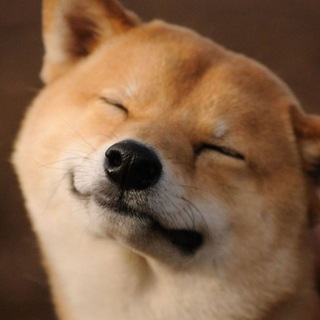 Telegram profile photo for 宁夏银川老司机