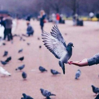 Telegram profile photo for الدنيا لسى بخير💜