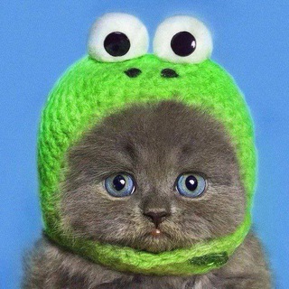 Telegram profile photo for https://t.me/carting_chats