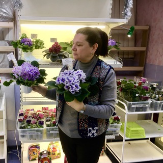 Telegram profile photo for Сушанкова Татьяна