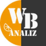 Telegram profile photo for WIldberries. Аналитика. Поиск товара для продажи.