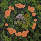 Telegram profile photo for Болотный бардак :^