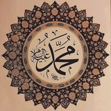Telegram profile photo for قناة || محمد محمود فكري