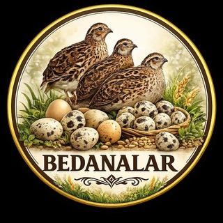 Telegram profile photo for БЕДАНАЧИЛИК