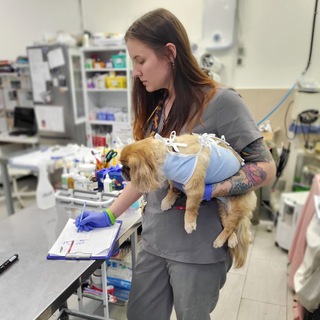 Telegram profile photo for Vetdoc.a.golubeva