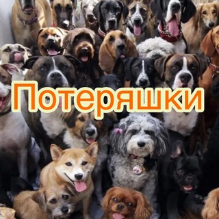 Telegram profile photo for Ищу тебя! Россия .Посты о потерянных и найденных животных по всей России.