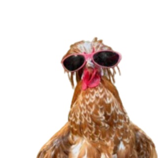 Telegram profile photo for Gallo the hen Portal