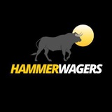 Telegram profile photo for Hammer Wagers 🥊