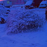 Telegram profile photo for фото батлы❤️🔥