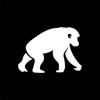 Telegram profile photo for BlackPoolHQ
