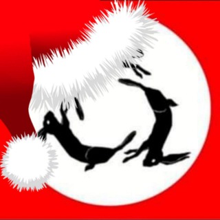 Telegram profile photo for Scene girl nationalism