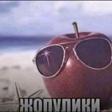 Telegram profile photo for Персики 20 р за 0 кг