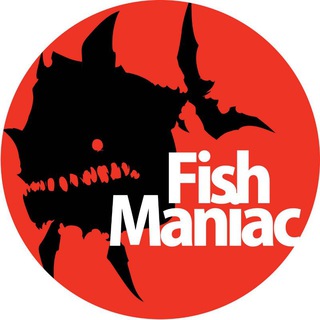 Telegram profile photo for Fish Maniac