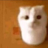 Telegram profile photo for аотликк чирикает