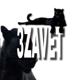 Telegram profile photo for TRETIYZAVET