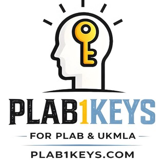 Telegram group profile photo for plab1keys.com_official