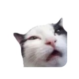 Telegram profile photo for Ну что ты начинаешь?🤡