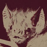 Telegram profile photo for 𝕷𝖆𝖓𝖌𝖊. 𝕽 𝕭𝖑𝖔𝖌