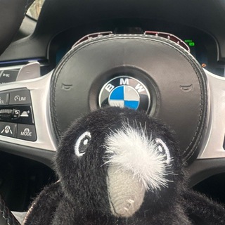 Telegram profile photo for ЧИЖИК Team