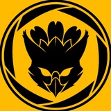 Telegram profile photo for Grifotógrafo