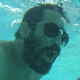 Telegram profile photo for avi scharf
