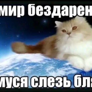 Telegram profile photo for Сомся