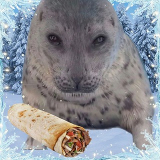Telegram profile photo for SealBlog🦭