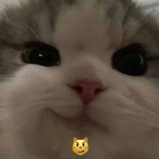 Telegram profile photo for Путешествия. Америка