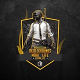 Telegram profile photo for PUBG Lite | پابجی لایت