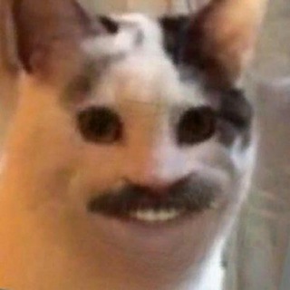 Telegram profile photo for My info/Обо мне