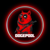 Telegram profile photo for DogePool Portal