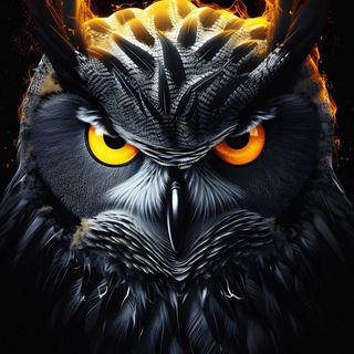 Telegram profile photo for Крипто Филин🦉